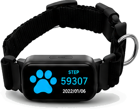 Tracker GPS 4G para mascotas